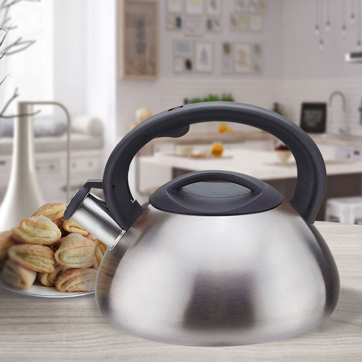 Vandkedel med fløjte, rustfrit stål, satineret kabinet