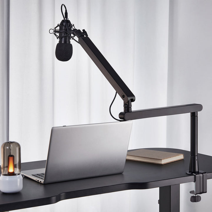 Professionel mikrofonholder fra Maclean, arm, maks. 2 kg, MC-971