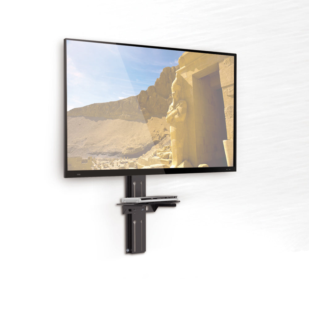 TV-holder med DVD-hylde Maclean, VESA 200x200, 23"-43", 25 kg, MC-771A