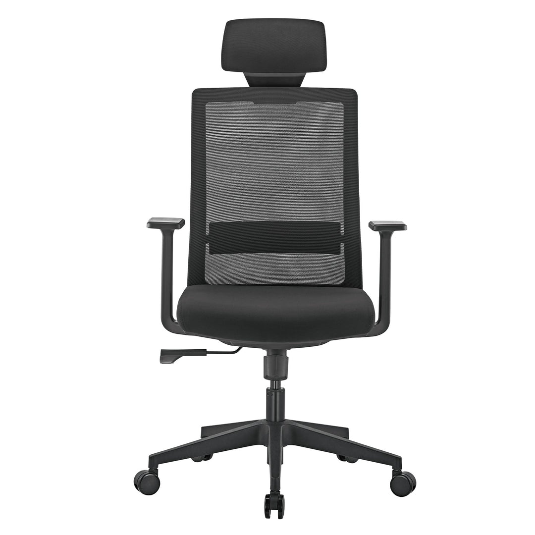 Ergonomisk premium-kontorstol med høj ryglæn Ergo Office, maks. 150 kg, ER-425