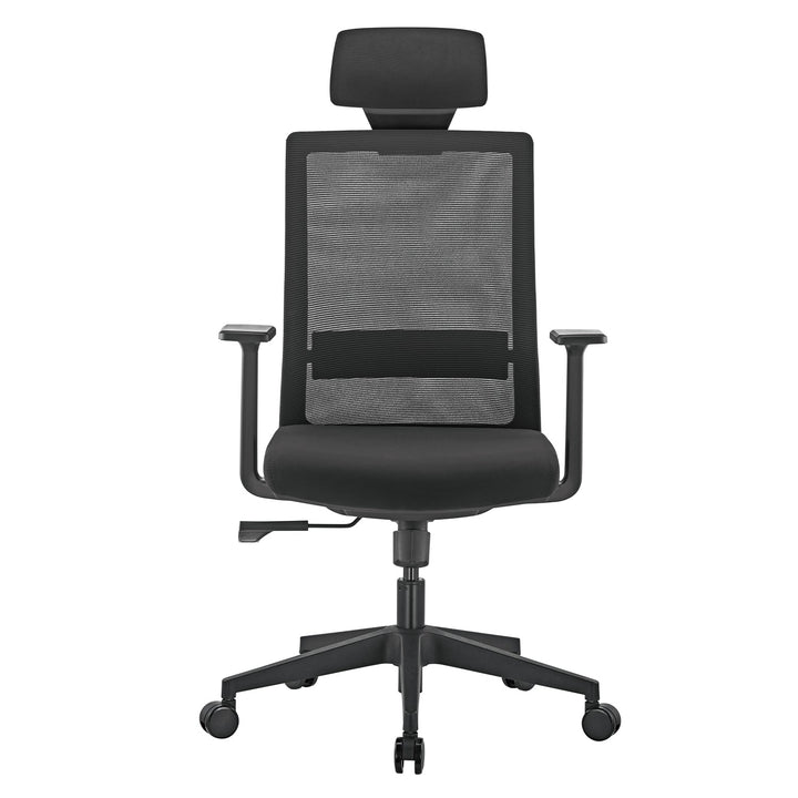 Ergonomisk premium-kontorstol med høj ryglæn Ergo Office, maks. 150 kg, ER-425