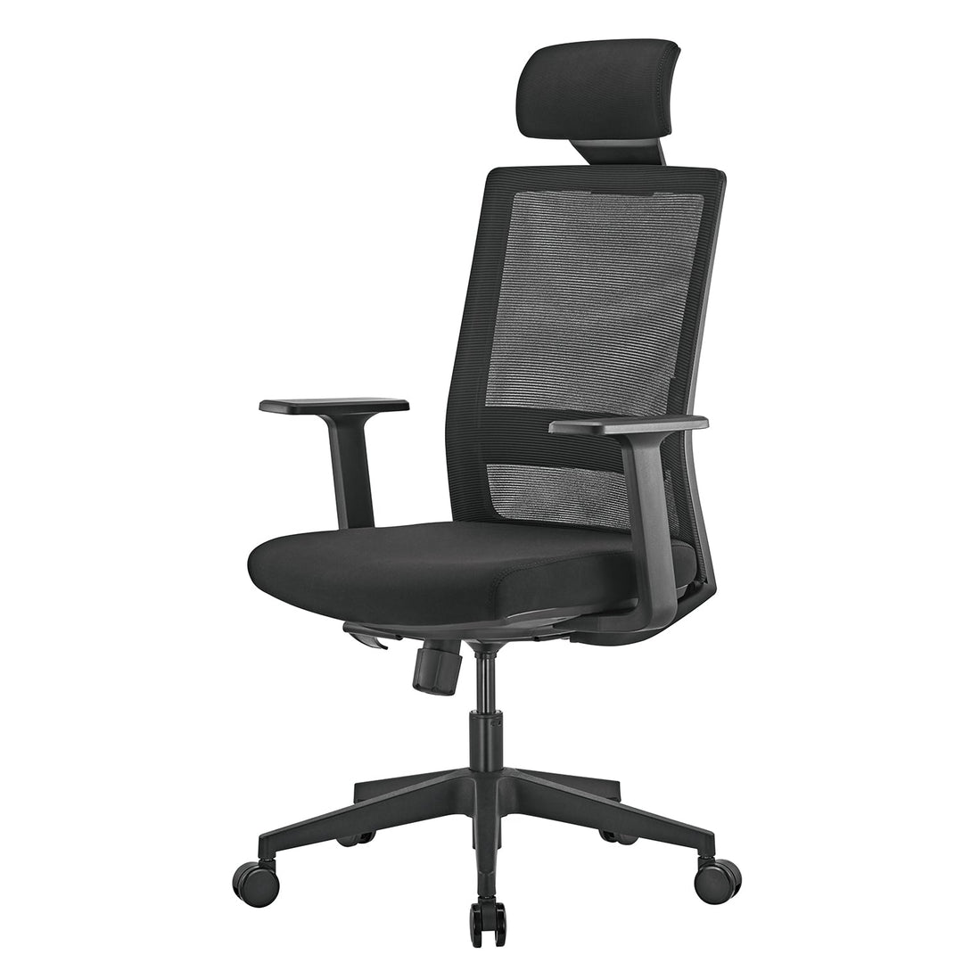 Ergonomisk premium-kontorstol med høj ryglæn Ergo Office, maks. 150 kg, ER-425