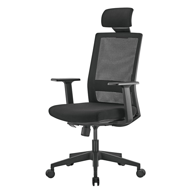Ergonomisk premium-kontorstol med høj ryglæn Ergo Office, maks. 150 kg, ER-425