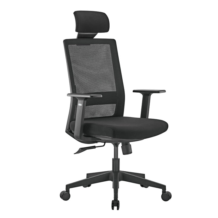 Ergonomisk premium-kontorstol med høj ryglæn Ergo Office, maks. 150 kg, ER-425