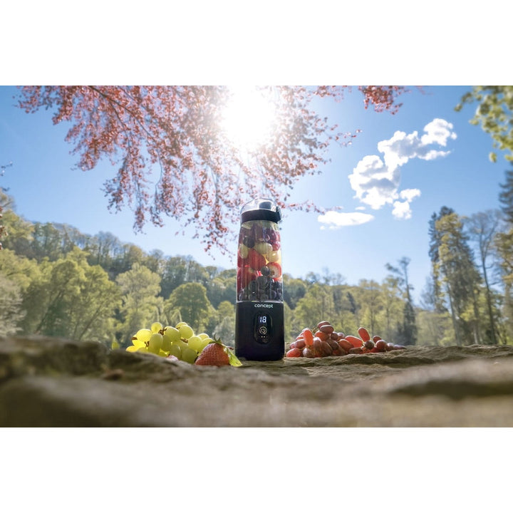 Concept personlig blender, 600 ml, Li-Ion-batteri, sort, FitMaker SM4001