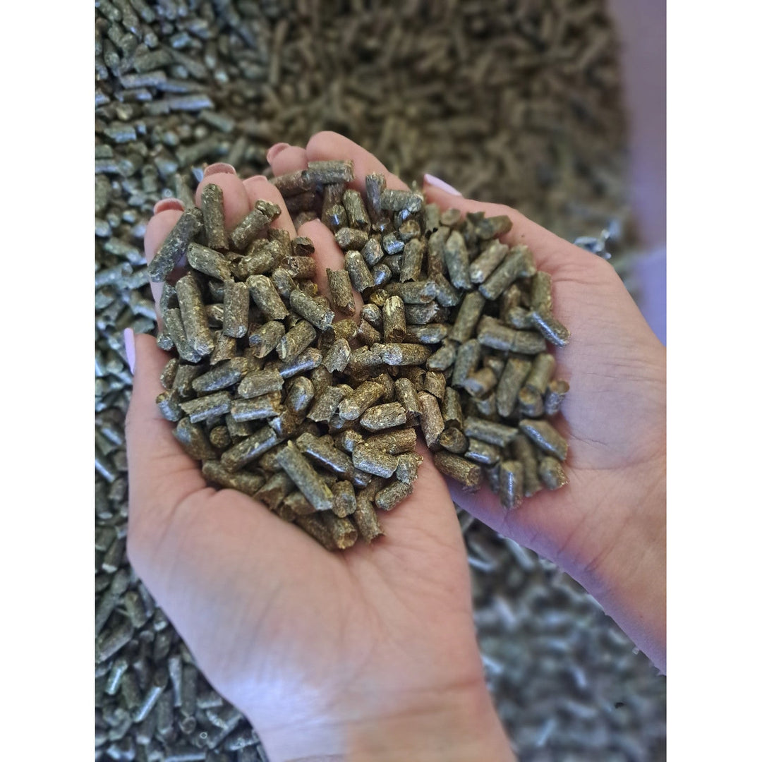 Græsfrø, foder til heste, fra græs fra sølandet, 15 kg sæk