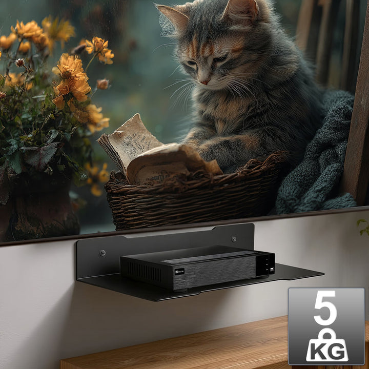 Væghylde til Maclean-dekoder, enkelt, maks. 5 kg, stål, MC-122