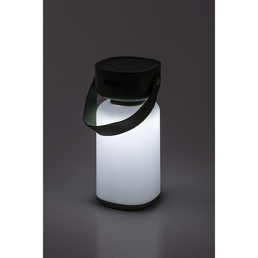 Rabalux dekorativ lampe, udendørs, IP44, 3W, grøn, Funes