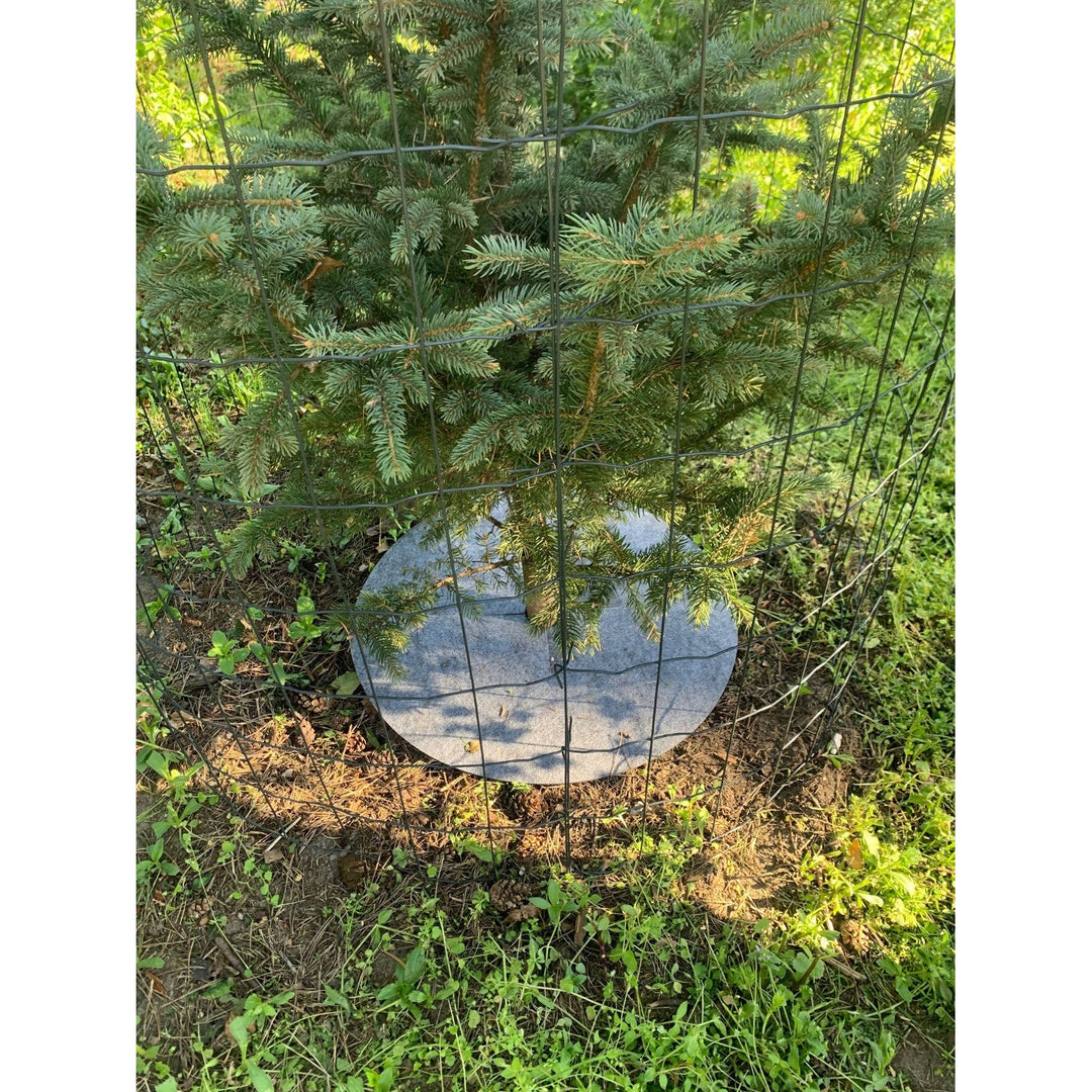 Sæt med Bertoni ukrudtsbekæmpelsesskiver, 3 stk., 40 cm, grå