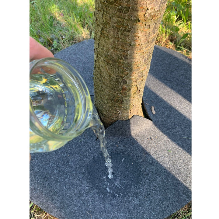 Sæt med Bertoni ukrudtsbekæmpelsesskiver, 3 stk., 60 cm, grå