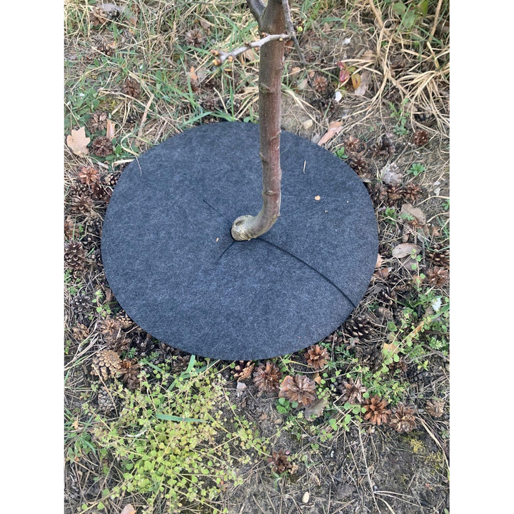 Sæt med Bertoni ukrudtsplader, 6 stk., 40 cm, grå