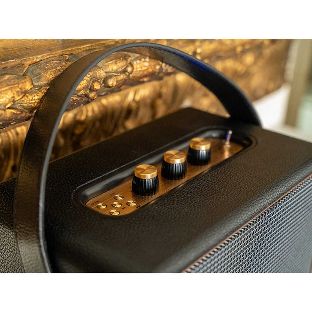 Tracer bærbar højttaler, Bluetooth, FM-radio, 30 W, sort, M30