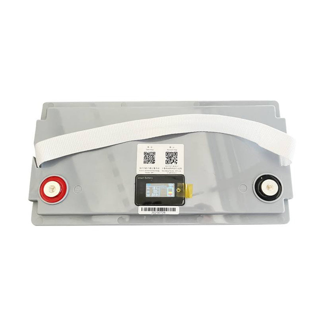 LiFePo4 Lexton lithium-jern-fosfat-batteri med BMS-system, 12,8 V, 100 Ah, LXLFP100