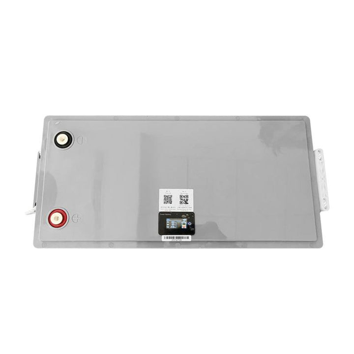 LiFePo4 Lexton lithium-jern-fosfat-batteri med BMS-system, 12,8 V, 200 Ah, LXLFP200