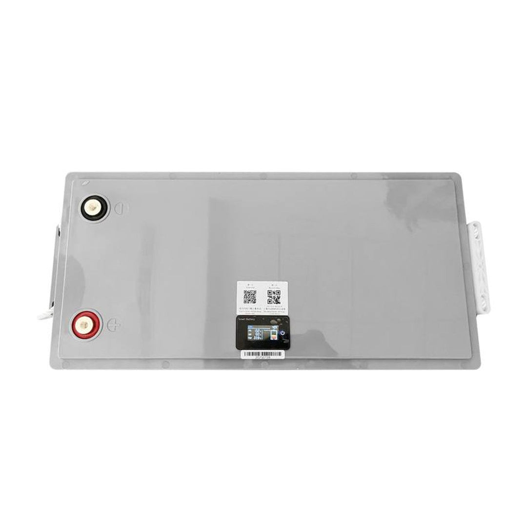LiFePo4 Lexton lithium-jern-fosfat-batteri med BMS-system, 12,8 V, 200 Ah, LXLFP200 + oplader til LiFePO4-batterier LTC Energy