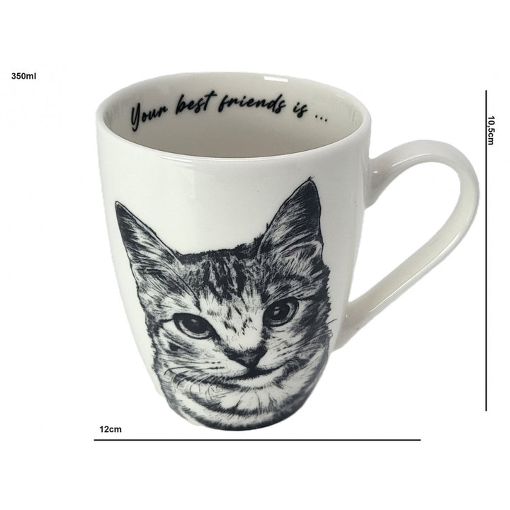 Porcelænskrus Queen Isabel, amerikansk korthåret kat, 350 ml, Q1-05195