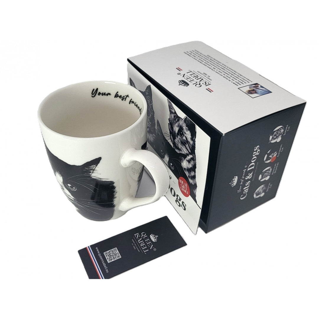 Queen Isabel porcelain mug, European cat, 350ml, Q1-05218