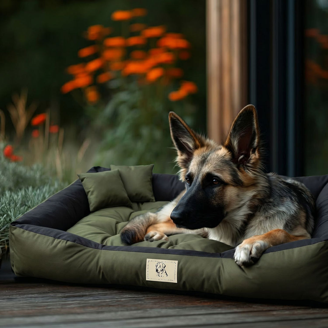 GreenBlue-hundehule, grøn, rektangulær, ydre mål 115 x 95 cm, indvendige mål 100 x 80 cm GB240 GN