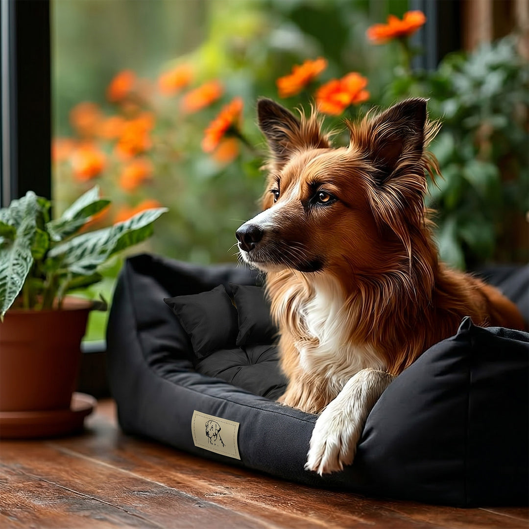 GreenBlue-hundehule, sort, rektangulær, ydre mål 115 x 95 cm, indvendige mål 100 x 80 cm GB240 BL