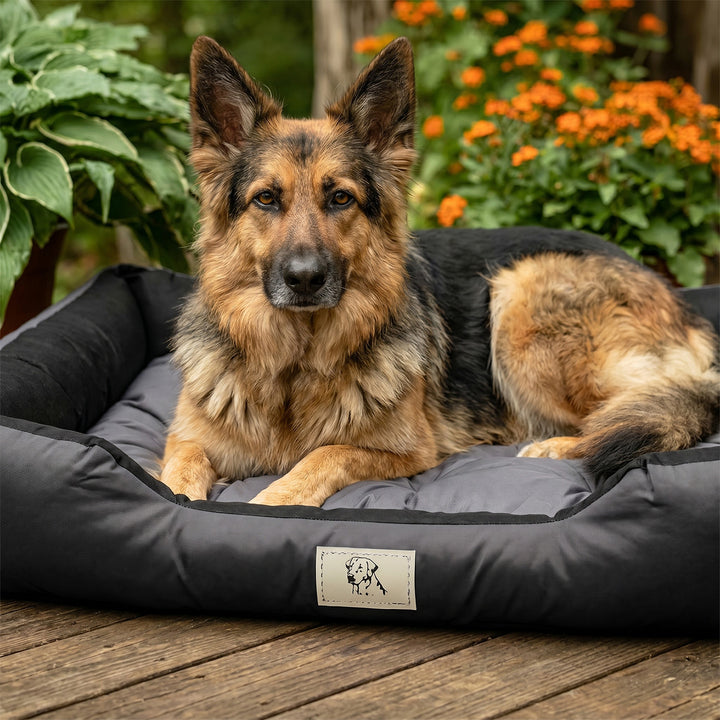 GreenBlue-hundehule, mørkegrå, rektangulær, ydre mål 115 x 95 cm, indvendige mål 100 x 80 cm GB240 GR