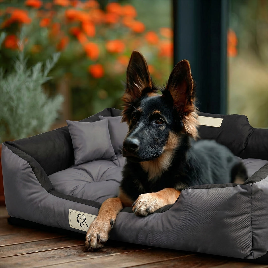 GreenBlue-hundehule, mørkegrå, rektangulær, ydre mål 115 x 95 cm, indvendige mål 100 x 80 cm GB240 GR