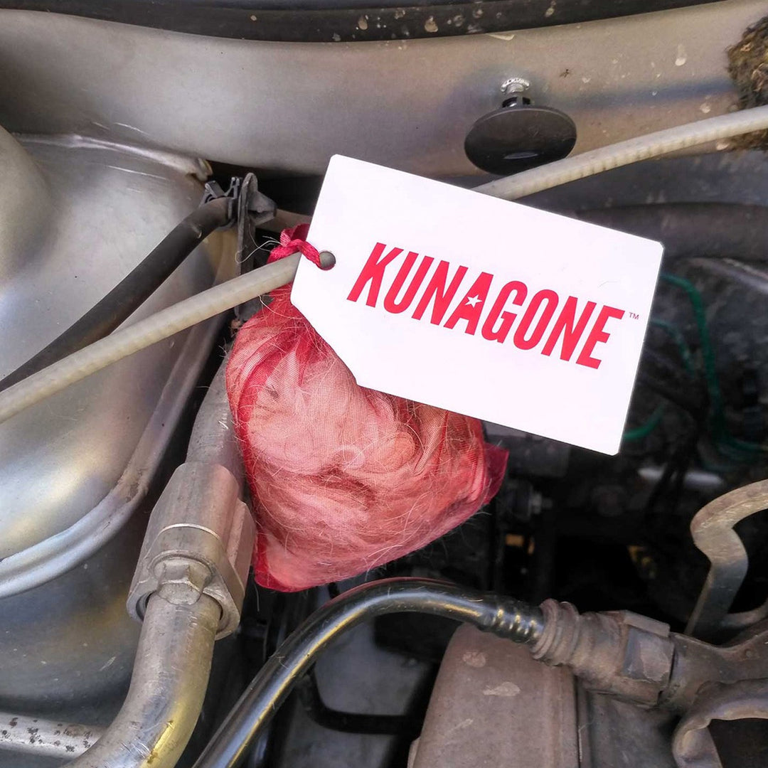 Kunagone-mårskræmmer, naturlig, til bilen, hjemmet og loftet, 3 stk.