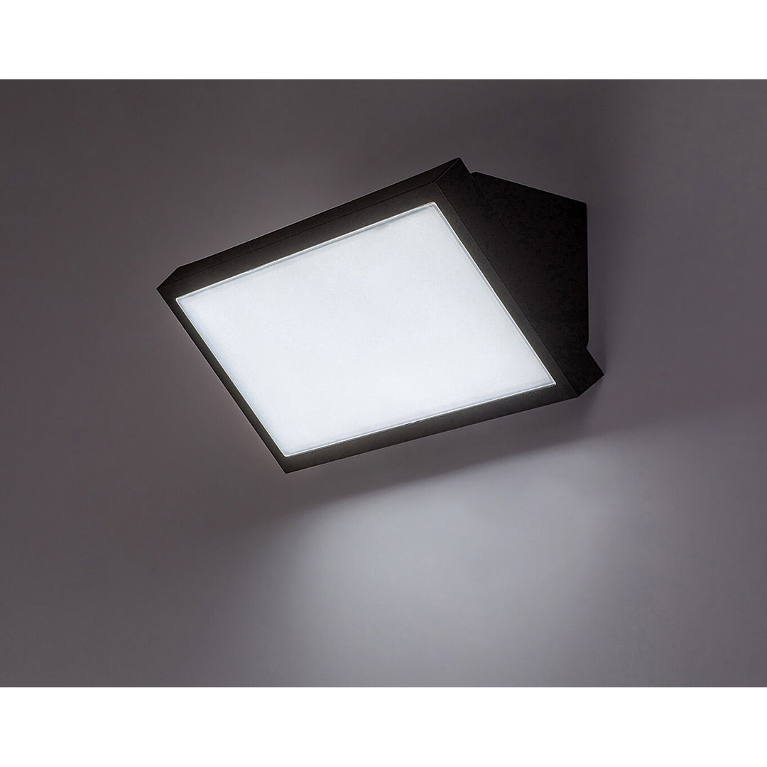 Rabalux Rapla2 LED-lampe 18 W, sort, IP65, energiklasse F, lysfarvejustering 2700, 4000, 6500 K, 77150