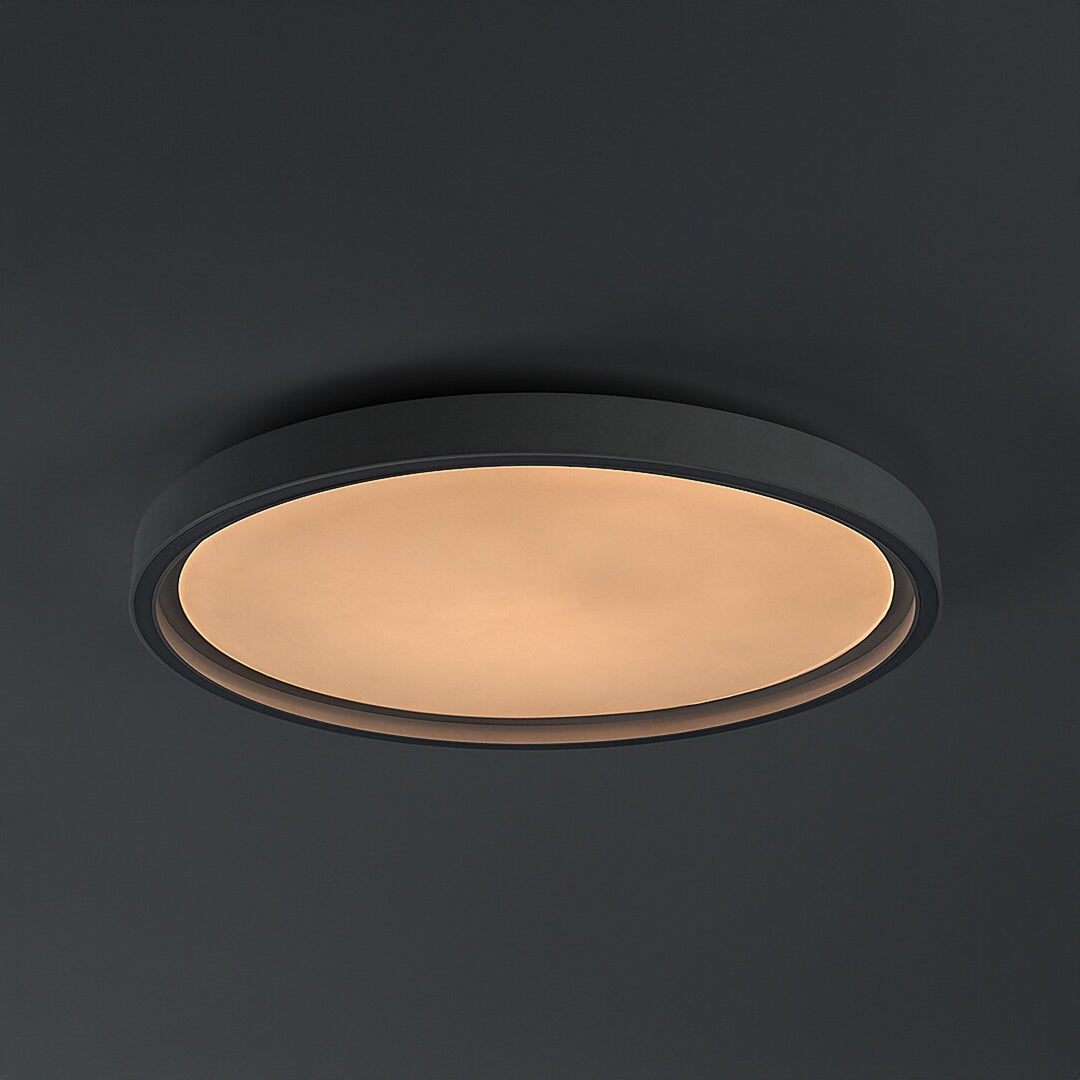 Rabalux Zerina loftslampe, 31 W, IP40, hvid, 3000–6500 K, hukommelsesfunktion, med fjernbetjening, timerfunktion, natlampeeffekt, 75086