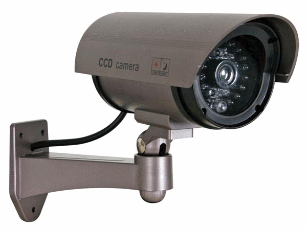 Attrap af rørkamera, IR-LED-dioder, sølvfarvet, IR1100S