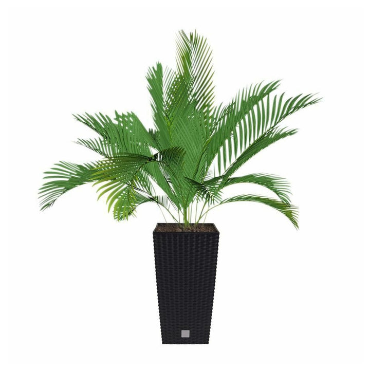 Blomsterpotte med indsats Prosperplast Rato Square DRTS225 S433 antracit