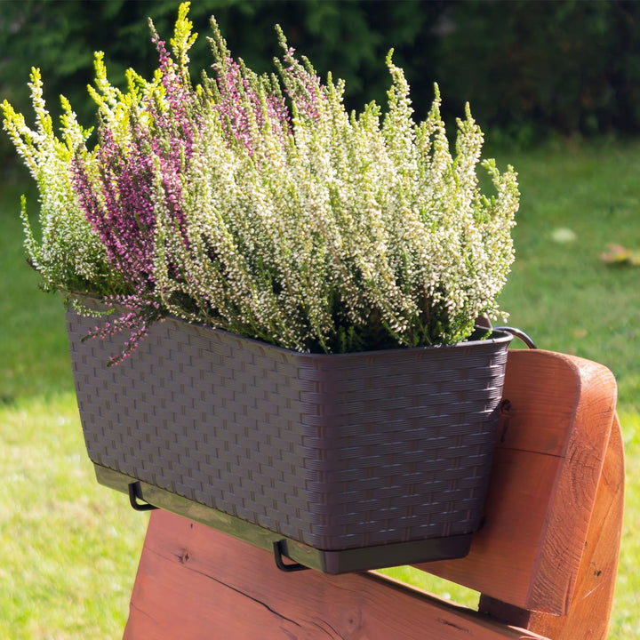 Rektangulær blomsterpotte med kroge Prosperplast Ratolla PW DRL400PW 440U umbra