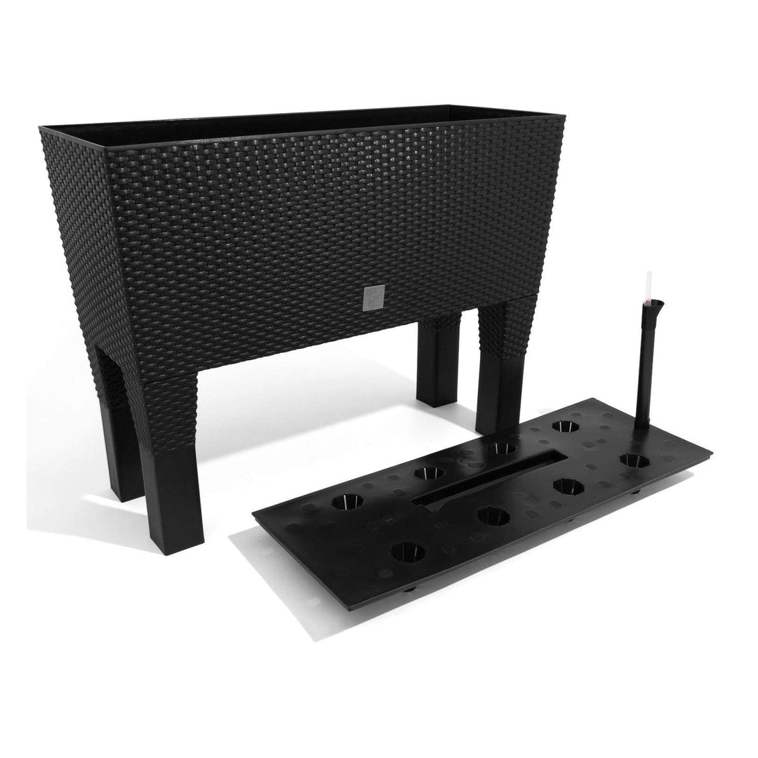 Prosperplast Rato Case DRTC800H S433 rattanplantepotte, antracit