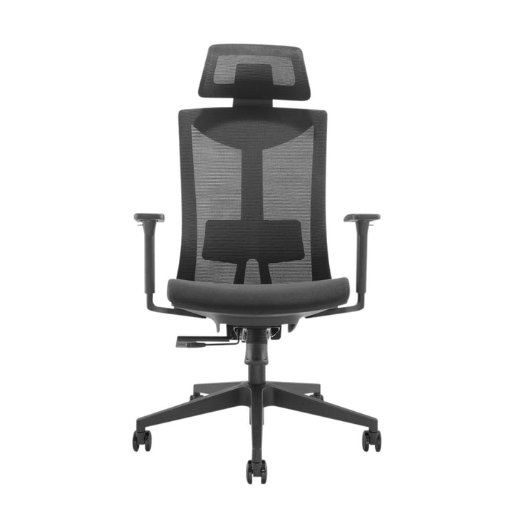 Ergonomisk premium-kontorstol med høj ryglæn Ergo Office, maks. 150 kg, ER-414