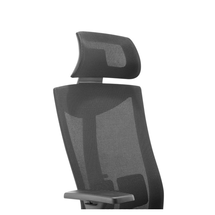 Ergonomisk premium-kontorstol med høj ryglæn Ergo Office, maks. 150 kg, ER-414