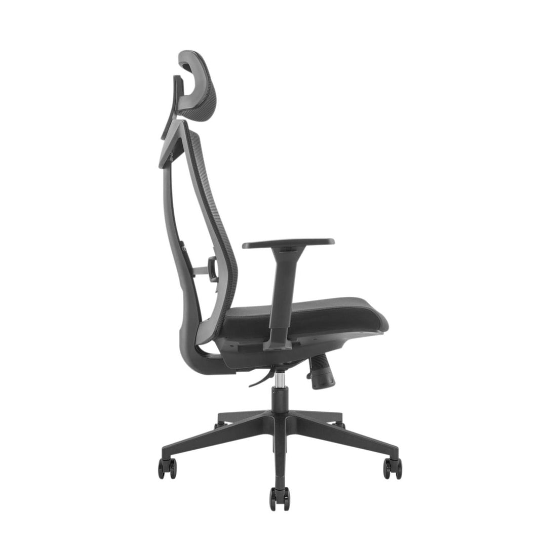 Ergonomisk premium-kontorstol med høj ryglæn Ergo Office, maks. 150 kg, ER-414