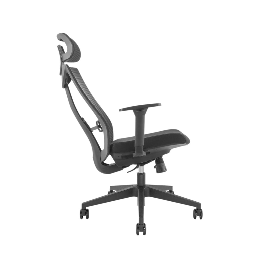 Ergonomisk premium-kontorstol med høj ryglæn Ergo Office, maks. 150 kg, ER-414