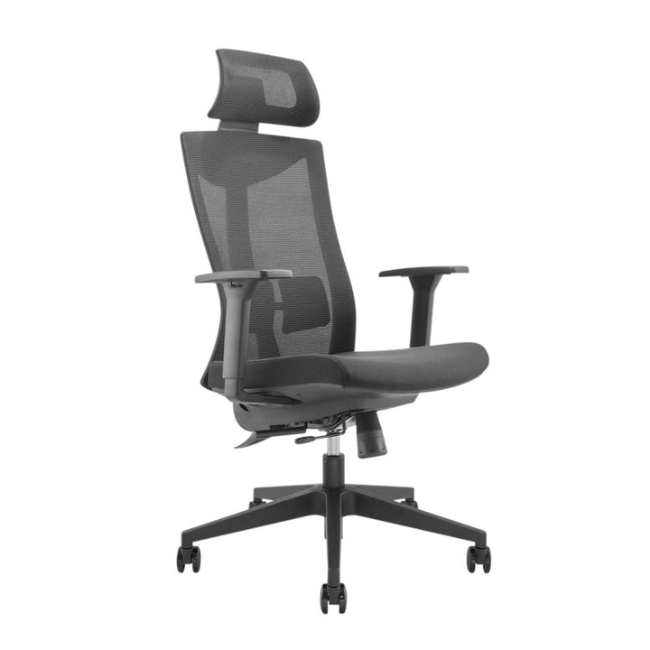 Ergonomisk premium-kontorstol med høj ryglæn Ergo Office, maks. 150 kg, ER-414