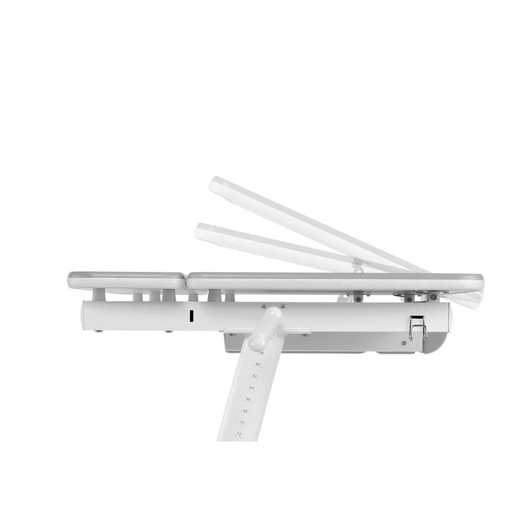 Ergonomisk skrivebord til børn med højdejustering Ergo Office, gråt, maks. 100 kg, ER-417 2cz