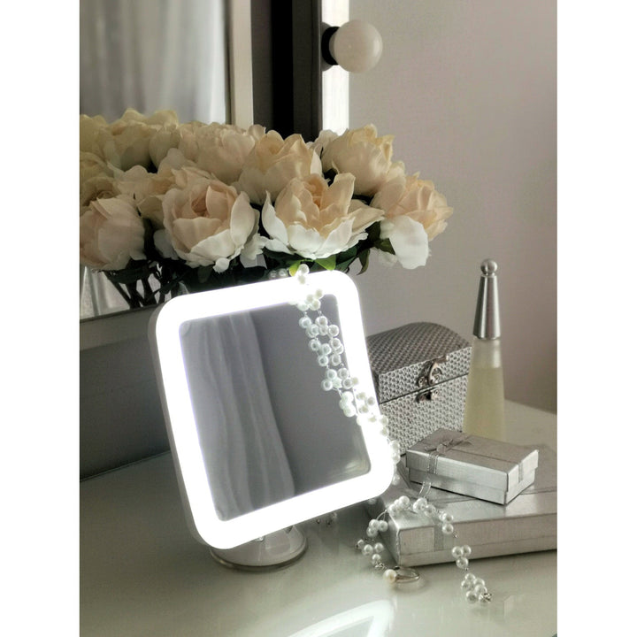 Badeværelsespejl, drejbart med LED-belysning CR 2169
