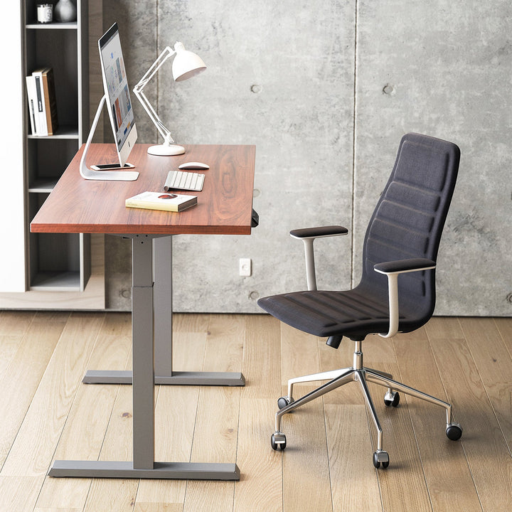 Elektrisk skrivebord med højdejustering Ergo Office, gråt, maks. højde 123 cm, 80 kg – uden bordplade, til stående og siddende arbejde, ER-433