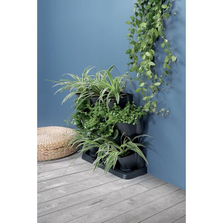 Prosperplast Cascade Garden stående vertikal have, antracit