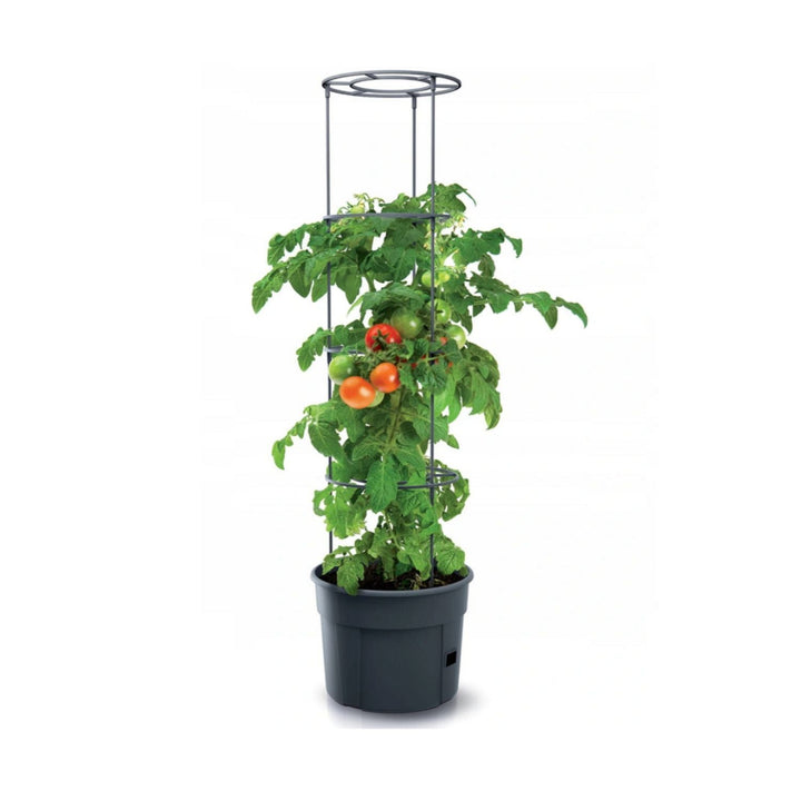 Tomato Grower IPOM400 pot til dyrkning af tomater