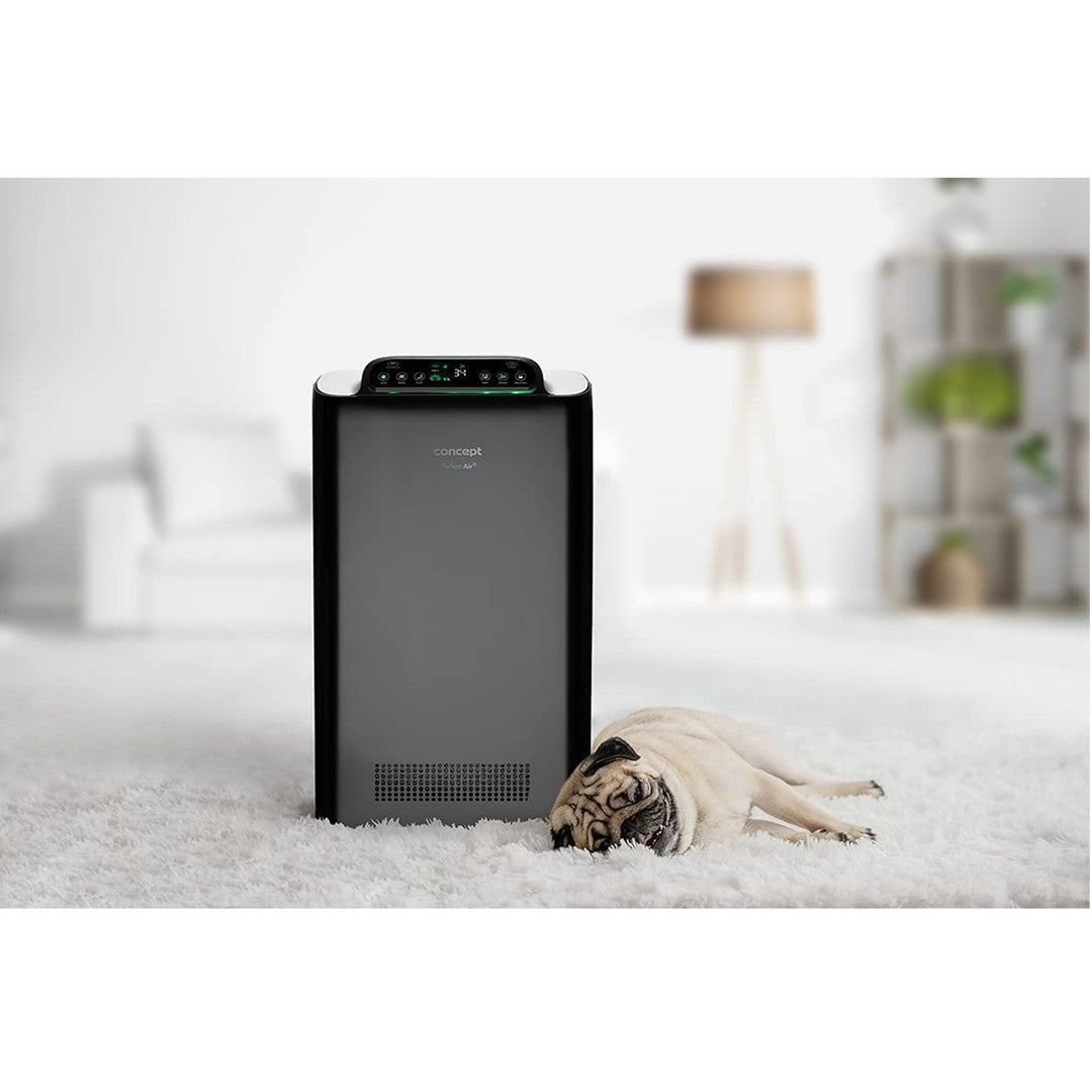 Concept Smart Perfect Air CA2000 luftrenser