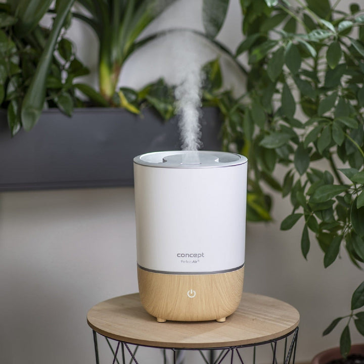 Luftfugter Concept ZV1200 Perfect Air aromaterapi