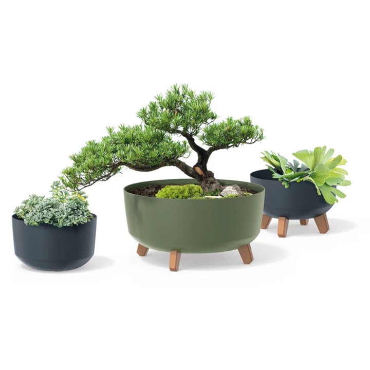 Prosperplast Gracia DGRL240-5615C blomsterpotte, grøn