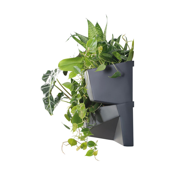 Vertikal have Prosperplast Cascade Garden Wall IO3W800-S433
