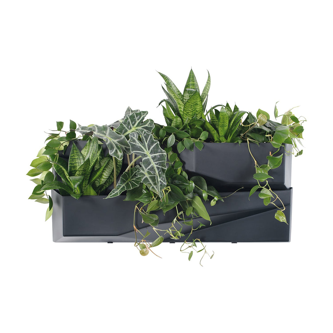 Vertikal have Prosperplast Cascade Garden Wall IO3W800-S433