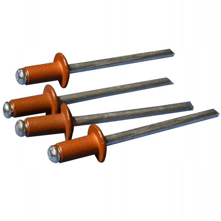 Riveter 4x8 - gylden eg (pakke - 100 stk.) SÆT