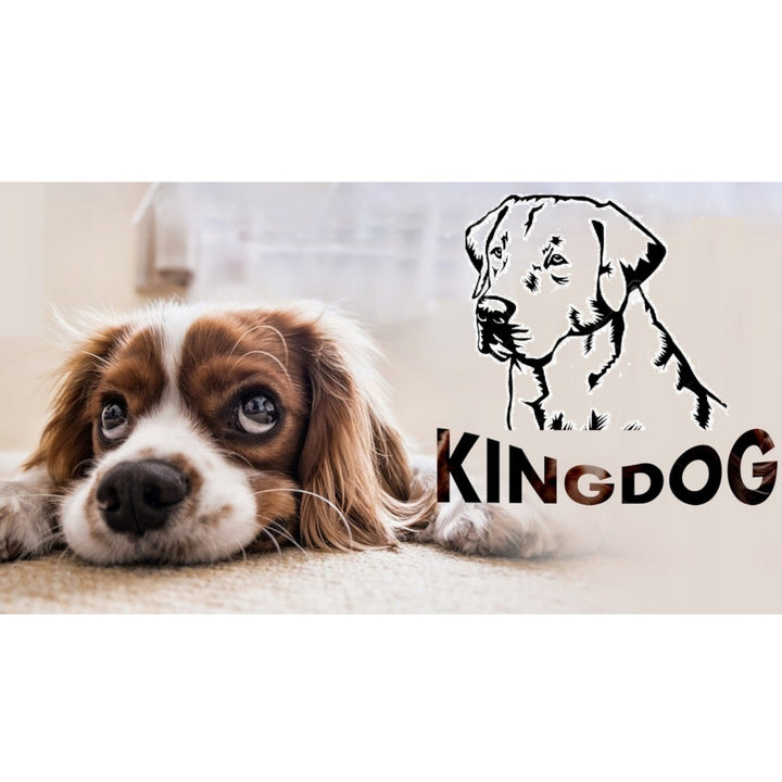 Seng til hund, kat 55 x 45 Sort Kingdog størrelse S