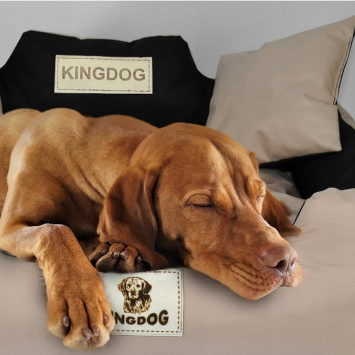 Hundeseng, katte seng 55 x 45 Blå Kingdog størrelse S